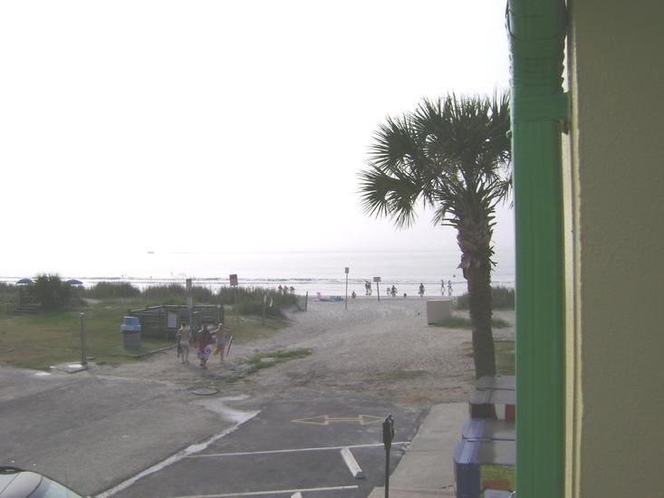 Sea Hawk Oceanfront Motel Myrtle Beach Doğa fotoğraf
