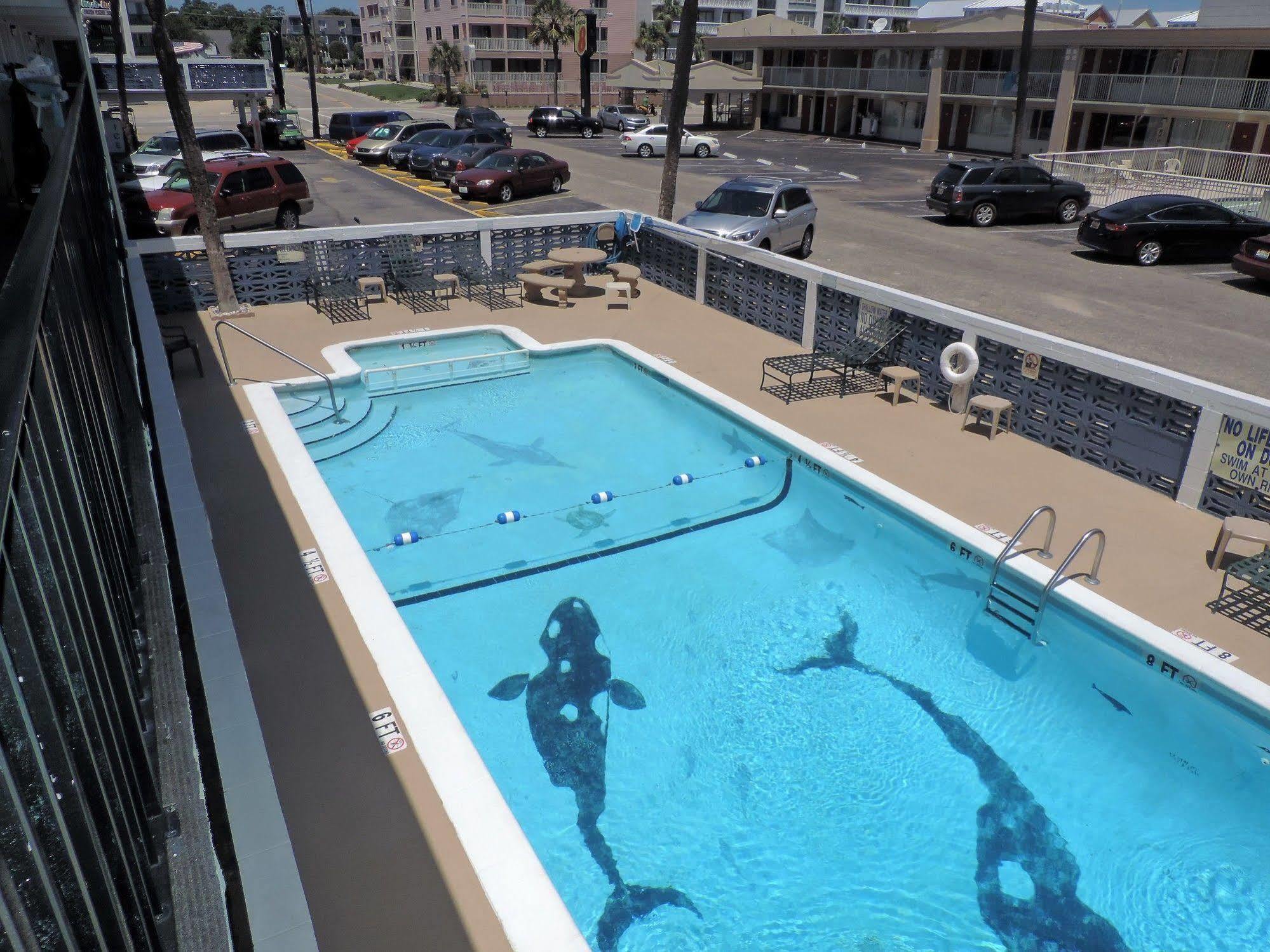Sea Hawk Oceanfront Motel Myrtle Beach Dış mekan fotoğraf