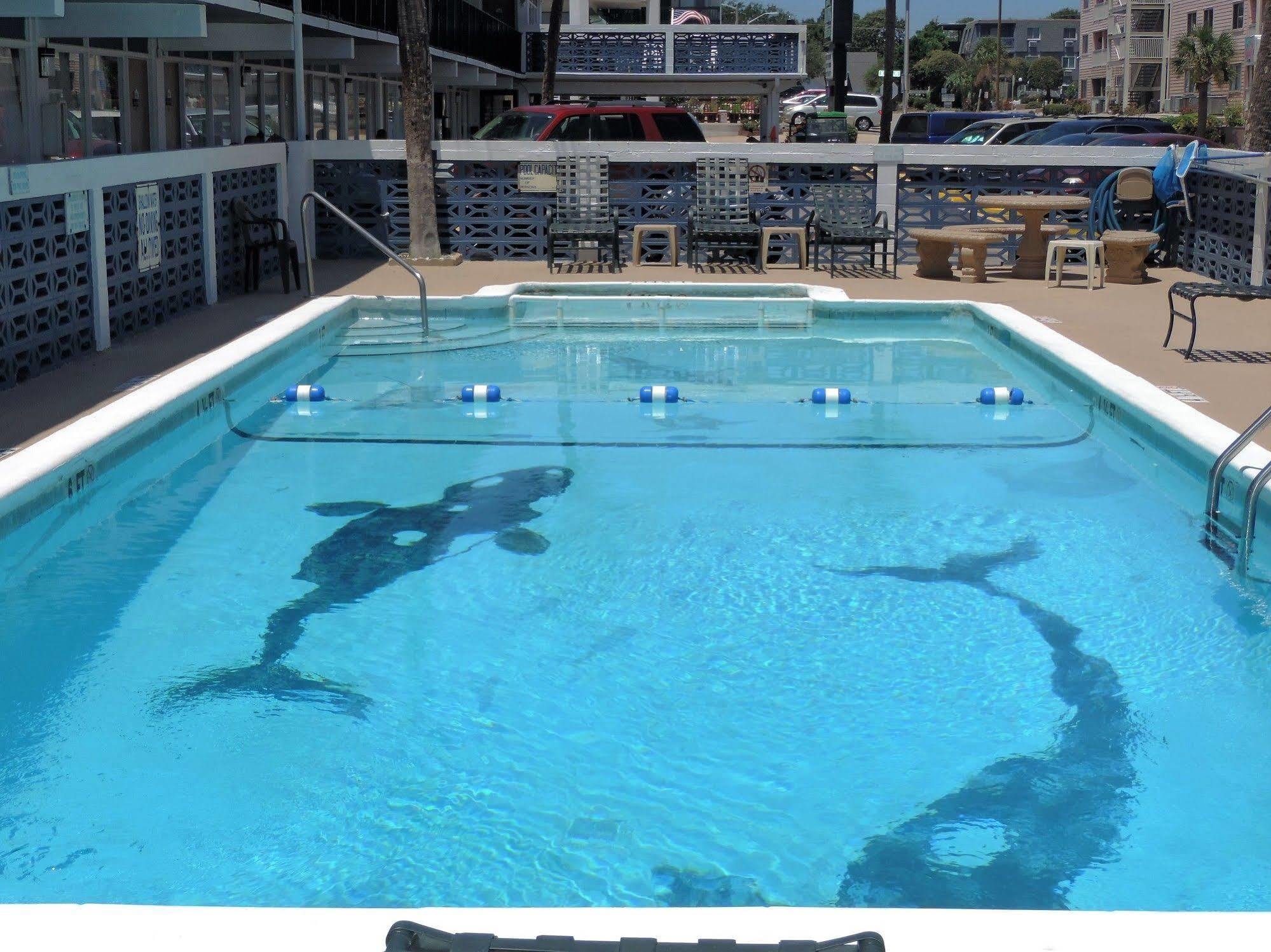 Sea Hawk Oceanfront Motel Myrtle Beach Dış mekan fotoğraf