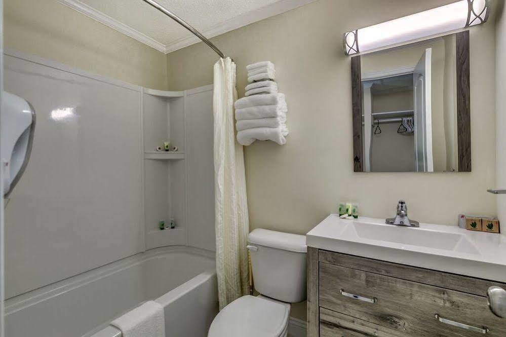 Sea Hawk Oceanfront Motel Myrtle Beach Dış mekan fotoğraf